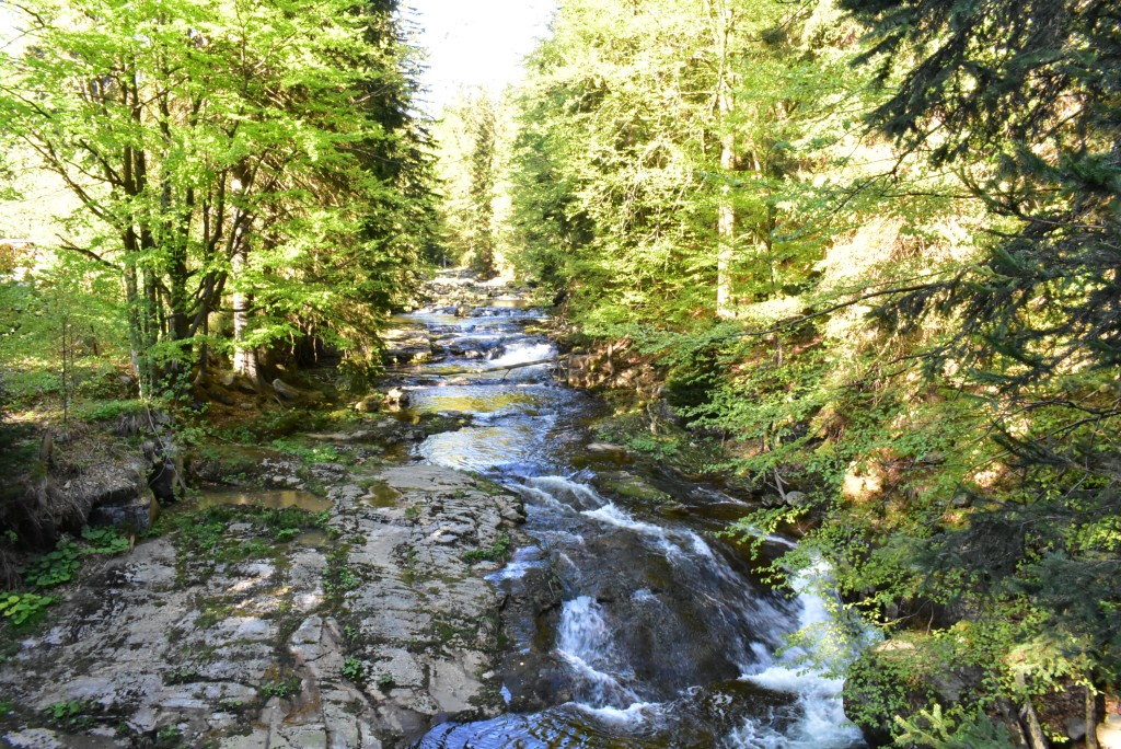 DSC_0010.jpg
