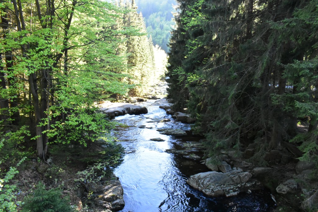 DSC_0011.jpg