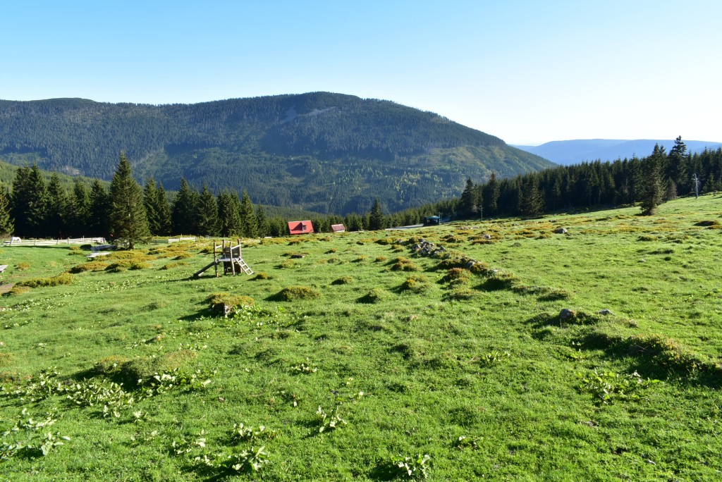 DSC_0012.jpg