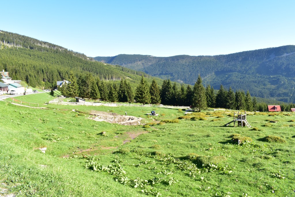 DSC_0013.jpg
