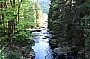 DSC_0011.jpg