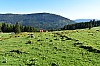 DSC_0012.jpg